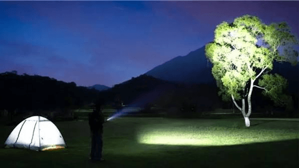 Flashlight beam lighting a campsite and a distant tree at night