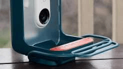 Close-up of the Birdbuddy Pro camera module and perch