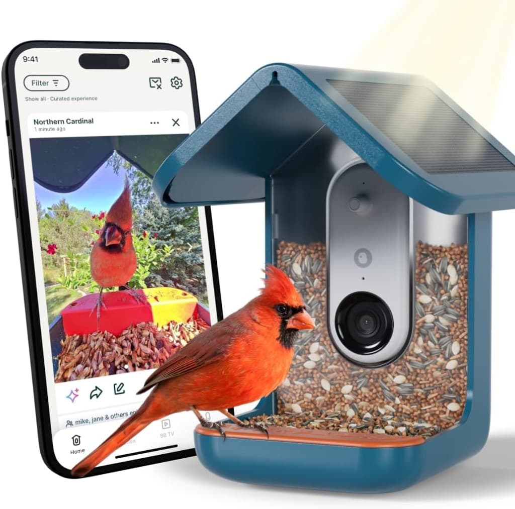 Birdbuddy Smart Bird Feeder Pro - Product image