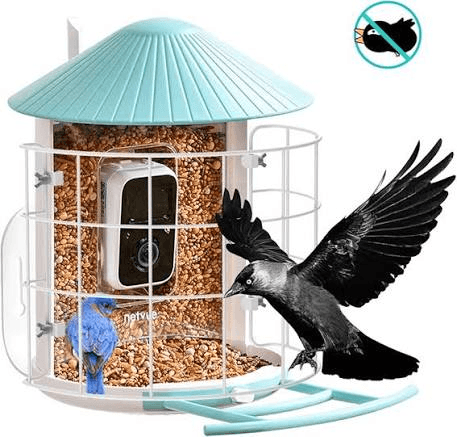 Birdfy Feeder with protective cage keeping large birds out while small birds feed