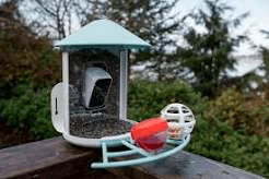 Birdfy Feeder on a deck railing with modular perch accessories