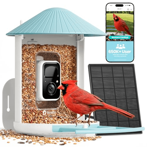 Birdfy Feeder - Product image
