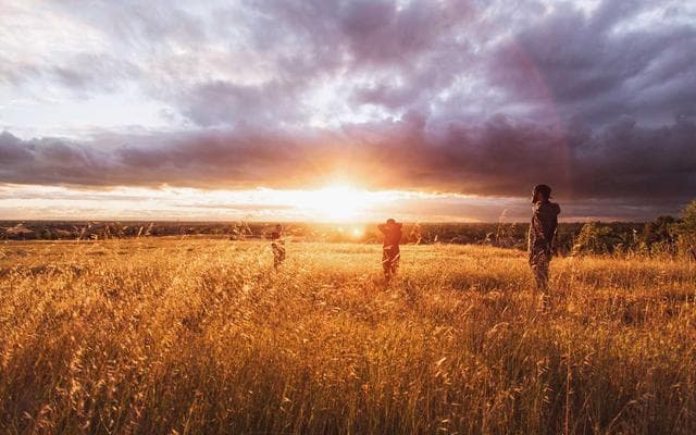 Coffee maker on a bright kitchen counter