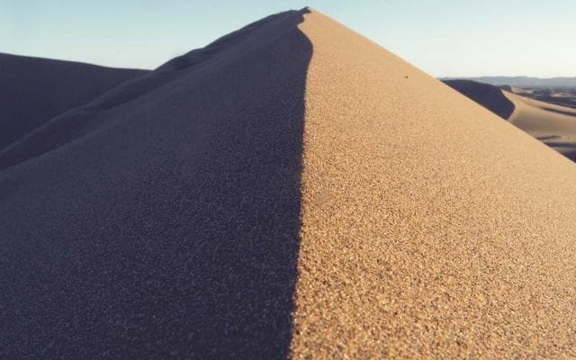 Robot lawn mower on green grass
