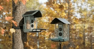 Best Smart Bird Feeders 2026, top pick